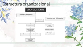 Estructura organizacional
 