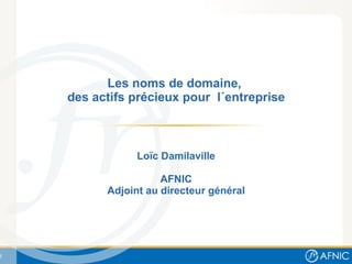 Les noms de domaine,  des actifs précieux pour  l´entreprise Loïc Damilaville AFNIC Adjoint au directeur général 