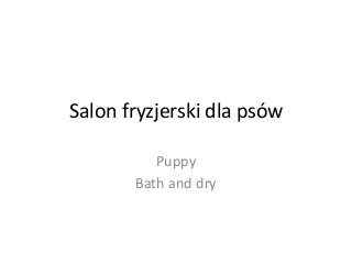 Salon fryzjerski dla psów
Puppy
Bath and dry
 
