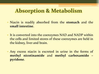 Absorption & Metabolism 
• Niacin is readily absorbed from the stomach and the 
small intestine. 
• It is converted into the coenzymes NAD and NADP within 
the cells and limited stores of these coenzymes are held in 
the kidney, liver and brain. 
• Any excess niacin is excreted in urine in the forms of 
methyl nicotinamide and methyl carboxamido – 
pyridone. 
 