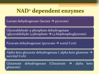 NAD+ dependent enzymes 
Lactate dehydrogenase (lactate  pyruvate) 
Glyceraldehyde-3-phosphate dehydrogenase 
(glyceraldehyde-3-phosphate 1,3-bisphosphoglycerate) 
Pyruvate dehydrogenase (pyruvate  acetyl CoA) 
Alpha keto glutarate dehydrogenase ( alpha keto gluterate  
succinyl CoA) 
Glutamate dehydrogenase (Glutamate  alpha keto 
glutarate) 
 