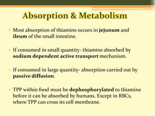 Absorption & Metabolism 
• Most absorption of thiamine occurs in jejunum and 
ileum of the small intestine. 
• If consumed in small quantity- thiamine absorbed by 
sodium dependent active transport mechanism. 
• If consumed in large quantity- absorption carried out by 
passive diffusion. 
• TPP within food must be dephosphorylated to thiamine 
before it can be absorbed by humans. Except in RBCs, 
where TPP can cross its cell membrane. 
 