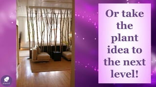 Or take
the
plant
idea to
the next
level!
 
