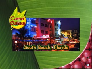 Casa Salsa - Rums of Puerto Rico Sponsorship