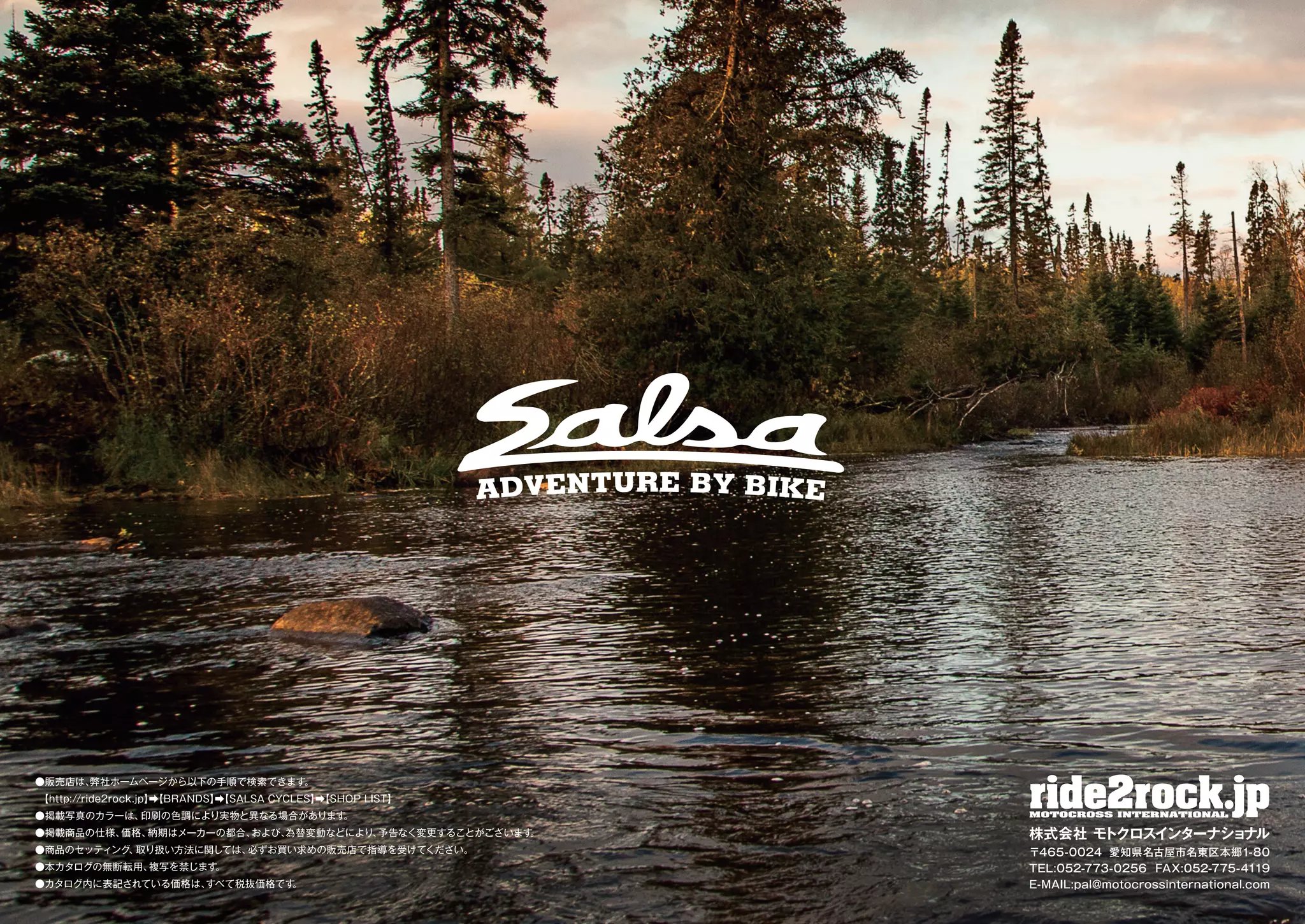 Salsa Cycles 2019 catalog for web