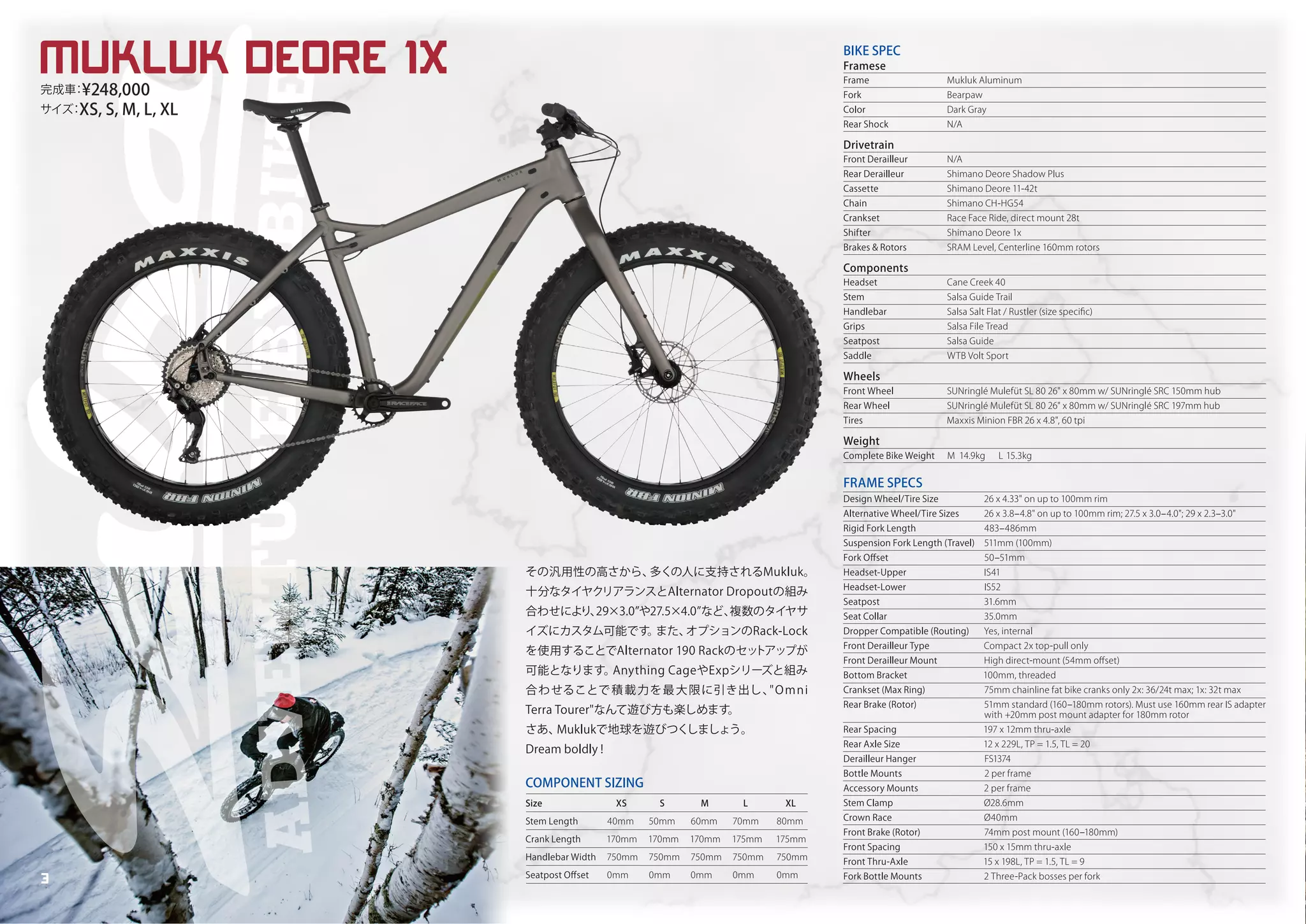 Salsa Cycles 2019 catalog for web