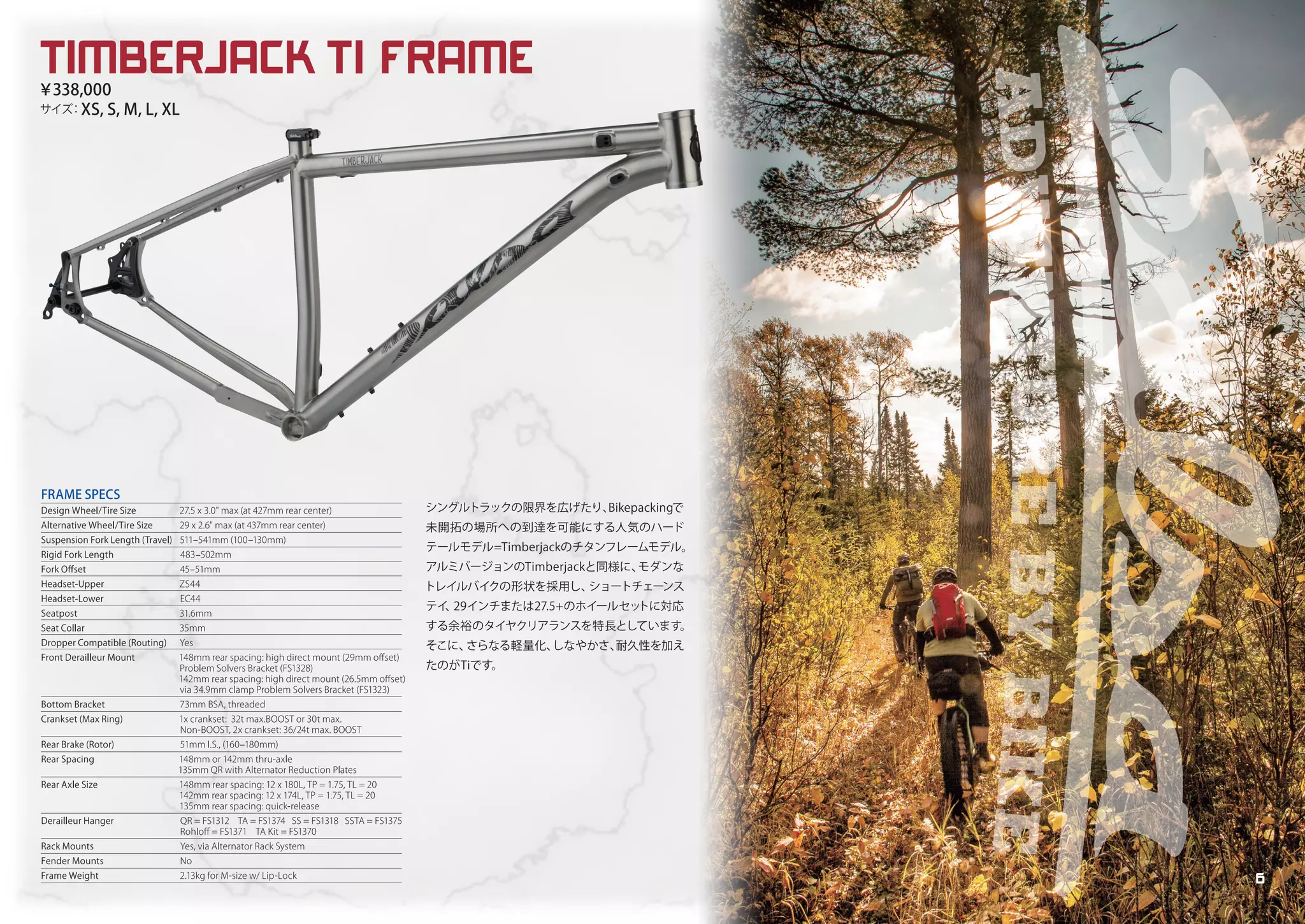 Salsa Cycles 2019 catalog for web