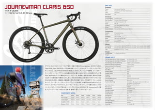 Salsa Cycles 2019 catalog for web