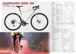 Salsa Cycles 2019 catalog for web