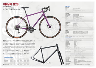 Salsa Cycles 2019 catalog for web