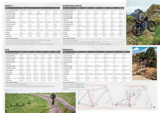 Salsa Cycles 2019 catalog for web