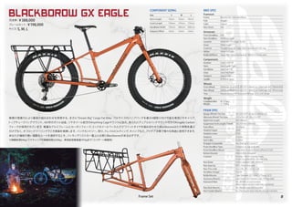 Salsa Cycles 2019 catalog for web
