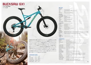 Salsa Cycles 2019 catalog for web