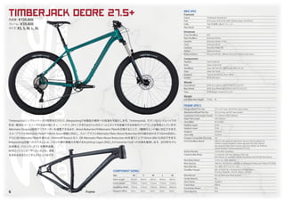Salsa Cycles 2019 catalog for web