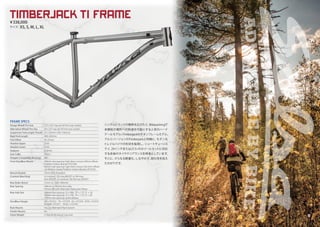 Salsa Cycles 2019 catalog for web