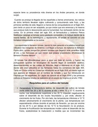 especie tiene su procedencia más diversa en los Andes peruanos, en donde
surgió.
Cuando se produjo la llegada de los españoles a tierras americanas, los nativos
de dicho territorio llevaban siglos cultivando y consumiendo este fruto, y las
primeras semillas de este, llegaron a manos de los conquistadores en el Siglo XVI,
pero tardo un poco en ser aceptada, ya que creían que era venenoso y la reserva
que produce todo lo desconocido para la humanidad, fue rechazado dentro de las
cortes. En la primera mitad del siglo XVI, el farmacéutico y botánico Petrus
Matthiolus catalogó al tomate como producto comestible y lo incluyó dentro de la
misma familia de la mandrágora; y rápidamente, el tomate se convirtió en una
hortaliza indispensable en la cocina.
Los españoles lo llamaron tomate, siendo lo más parecido a la palabra tomatl que
utilizaban los indígenas de América, y al llegar a Europa, los italianos lo llamaron
Poma dóro, quizás porque los primero tomates que llegaron eran amarillos como
el oro, y los franceses ya que creían que poseía propiedades afrodisiacas lo
llamaron Pomme dámour.
El tomate fue difundiéndose poco a poco por todo el mundo, y fueron los
portugueses quienes se encargaron de hacerlo llegar al continente asiático,
desembarcándolo en las costas de Molucas; llegó a Alemania en el siglo XVI,
donde sólo eran utilizados en las farmacias hasta los comienzos del siglo XIX.
Tanto en China como en Corea fue introducido en el Siglo XVII, el mismo siglo en
que aparece en Malasia con el nombre de tomatte y que fue introducido en
Filipinas por los españoles. En Japón se conoció en el Siglo XVIII y los primeros
cultivos en Estados Unidos se realizaron en el estado de Virginia en el año 1782.
Requisitos para el cultivo del tomate
Temperatura: la temperatura óptima, de desarrollo del cultivo de tomate
oscila entre los 20 y 30 °C durante el día y entre 10 y 17 °C durante la
noche. Las temperaturas superiores a los 35 °C impactan negativamente
sobre el desarrollo de los óvulos fecundados y, por ende, afectan el
crecimiento de los frutos. Por otro lado, las temperaturas inferiores a 12 °C
afectan adversamente el crecimiento de la planta. Las temperaturas son
especialmente críticas durante el período de floración, ya que por encima
de los 25 °C o por debajo de los 12 °C la fecundación no se produce.
Durante la fructificación las temperaturas inciden sobre el desarrollo de los
frutos, acelerándose la maduración a medida que se incrementan las
 