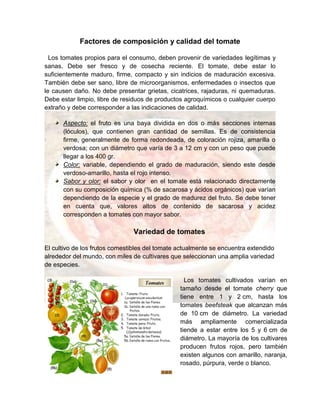 Factores de composición y calidad del tomate
Los tomates propios para el consumo, deben provenir de variedades legítimas y
sanas. Debe ser fresco y de cosecha reciente. El tomate, debe estar lo
suficientemente maduro, firme, compacto y sin indicios de maduración excesiva.
También debe ser sano, libre de microorganismos, enfermedades o insectos que
le causen daño. No debe presentar grietas, cicatrices, rajaduras, ni quemaduras.
Debe estar limpio, libre de residuos de productos agroquímicos o cualquier cuerpo
extraño y debe corresponder a las indicaciones de calidad.
Aspecto: el fruto es una baya dividida en dos o más secciones internas
(lóculos), que contienen gran cantidad de semillas. Es de consistencia
firme, generalmente de forma redondeada, de coloración rojiza, amarilla o
verdosa; con un diámetro que varía de 3 a 12 cm y con un peso que puede
llegar a los 400 gr.
Color: variable, dependiendo el grado de maduración, siendo este desde
verdoso-amarillo, hasta el rojo intenso.
Sabor y olor: el sabor y olor en el tomate está relacionado directamente
con su composición química (% de sacarosa y ácidos orgánicos) que varían
dependiendo de la especie y el grado de madurez del fruto. Se debe tener
en cuenta que, valores altos de contenido de sacarosa y acidez
corresponden a tomates con mayor sabor.
Variedad de tomates
El cultivo de los frutos comestibles del tomate actualmente se encuentra extendido
alrededor del mundo, con miles de cultivares que seleccionan una amplia variedad
de especies.
Los tomates cultivados varían en
tamaño desde el tomate cherry que
tiene entre 1 y 2 cm, hasta los
tomates beefsteak que alcanzan más
de 10 cm de diámetro. La variedad
más ampliamente comercializada
tiende a estar entre los 5 y 6 cm de
diámetro. La mayoría de los cultivares
producen frutos rojos, pero también
existen algunos con amarillo, naranja,
rosado, púrpura, verde o blanco.
 