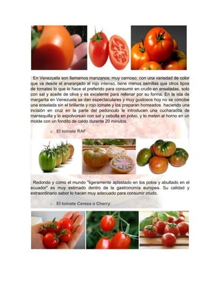 En Venezuela son llamamos manzanos, muy carnoso, con una variedad de color
que va desde el anaranjado al rojo intenso, tiene menos semillas que otros tipos
de tomates lo que lo hace el preferido para consumir en crudo en ensaladas, solo
con sal y aceite de oliva y es excelente para rellenar por su forma. En la isla de
margarita en Venezuela se dan espectaculares y muy gustosos hoy no se concibe
una ensalada sin el brillante y rojo tomate y los preparan horneados haciendo una
incisión en cruz en la parte del pedúnculo le introducen una cucharadita de
mantequilla y lo espolvorean con sal y cebolla en polvo, y lo meten al horno en un
molde con un fondito de caldo durante 20 minutos.
o El tomate RAF
Redondo y como el mundo "ligeramente aplastado en los polos y abultado en el
ecuador" es muy estimado dentro de la gastronomía europea. Su calidad y
extraordinario sabor lo hacen muy adecuado para consumir crudo.
o El tomate Cereza o Cherry:
 