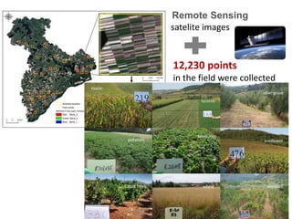 SALSA - Small Farms, Small Food Businesses and
Sustainable Food Security
Project Number 677363 Horizon 2020
12,230 points
...