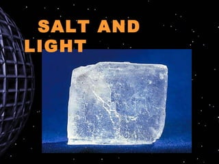 SALT AND LIGHT 