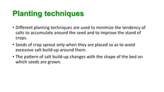 Salt Planting Method Salt affected soil | PPTX