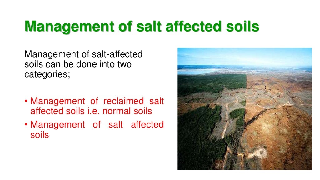 Salt affected soil