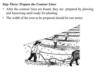 Step Three: Prepare the Contour Lines
• After the contour lines are found, they are prepared by plowing
and harrowing until ready for planting.
• The width of the area to be prepared should be one meter.
 
