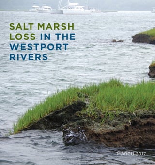 SALT MARSH
LOSS IN THE
WESTPORT
RIVERS
MARCH 2017
 