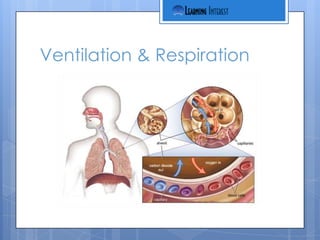 Ventilation & Respiration
 