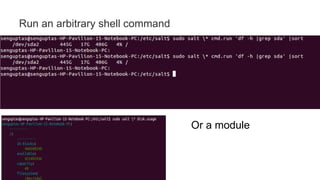 Run an arbitrary shell command
Or a module
 