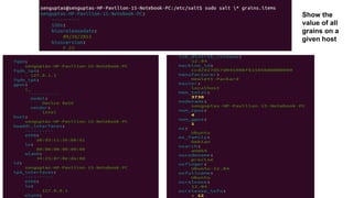Show the
value of all
grains on a
given host
 