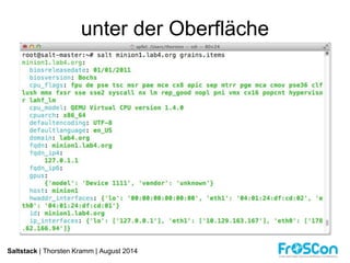 unter der Oberfläche 
Saltstack | Thorsten Kramm | August 2014 
 