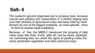 Salt Plan Example SALT-SYSTEM for agriculture 2204937272739 | PPTX