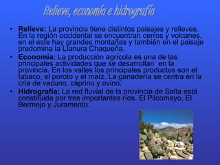 Relieve:  La provincia tiene distintos paisajes y relieves. En la región occidental se encuentran cerros y volcanes, en el este hay grandes montañas y también en el paisaje predomina la Llanura Chaqueña.  Economía:  La producción agrícola es una de las principales actividades que se desarrollan  en la provincia. En los valles los principales productos son el tabaco, el poroto y el maíz. La ganadería se centra en la cría de vacuno, caprino y ovino. Hidrografía:  La red fluvial de la provincia de Salta está constituida por tres importantes ríos. El Pilcomayo, El Bermejo y Juramento. Relieve, economía e hidrografía 