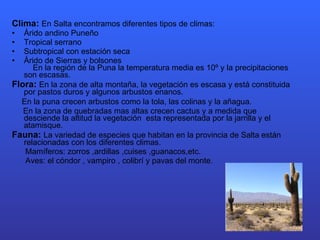 Clima:  En Salta encontramos diferentes tipos de climas: Árido andino Puneño Tropical serrano Subtropical con estación seca Árido de Sierras y bolsones  En la región de la Puna la temperatura media es 10º y la precipitaciones son escasas. Flora:  En la zona de alta montaña, la vegetación es escasa y está constituida  por pastos duros y algunos arbustos enanos. En la puna crecen arbustos como la tola, las colinas y la añagua. En la zona de quebradas mas altas crecen cactus y a medida que desciende la altitud la vegetación  esta representada por la jarrilla y el atamisque. Fauna:  La variedad de especies que habitan en la provincia de Salta están relacionadas con los diferentes climas. Mamíferos: zorros ,ardillas ,cuises ,guanacos,etc.  Aves: el cóndor , vampiro , colibrí y pavas del monte. 