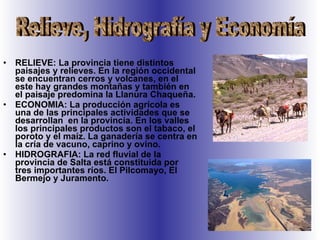 RELIEVE: La provincia tiene distintos paisajes y relieves. En la región occidental se encuentran cerros y volcanes, en el este hay grandes montañas y también en el paisaje predomina la Llanura Chaqueña.  ECONOMIA: La producción agrícola es una de las principales actividades que se desarrollan  en la provincia. En los valles los principales productos son el tabaco, el poroto y el maíz. La ganadería se centra en la cría de vacuno, caprino y ovino. HIDROGRAFIA: La red fluvial de la provincia de Salta está constituida por tres importantes ríos. El Pilcomayo, El Bermejo y Juramento. Relieve, Hidrografía y Economía 