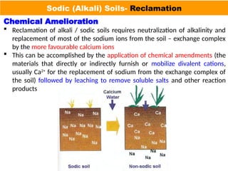 Salt Affected Soils, Properties, Problems and their Management | PPTX