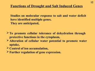 SALT AND DROUGHT STRESS in horticulture crops.PPT