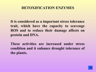 SALT AND DROUGHT STRESS in horticulture crops.PPT