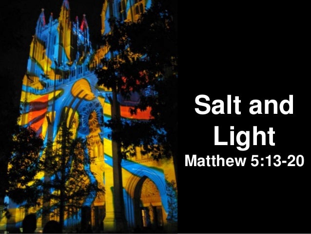 Image result for salt and light