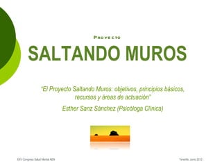 P ro ye c to


        SALTANDO MUROS
                  “El Proyecto Saltando Muros: objetivos, principios básicos,
                                recursos y áreas de actuación”
                                Esther Sanz Sánchez (Psicóloga Clínica)




XXV Congreso Salud Mental AEN                                             Tenerife. Junio 2012
 