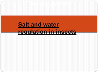 Excretory system
Salt and water
regulation in insects
 