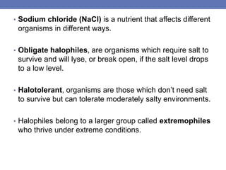 • Sodium chloride (NaCl) is a nutrient that affects different
organisms in different ways.
• Obligate halophiles, are organisms which require salt to
survive and will lyse, or break open, if the salt level drops
to a low level.
• Halotolerant, organisms are those which don’t need salt
to survive but can tolerate moderately salty environments.
• Halophiles belong to a larger group called extremophiles
who thrive under extreme conditions.
 
