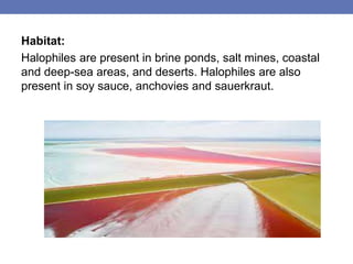 Habitat:
Halophiles are present in brine ponds, salt mines, coastal
and deep-sea areas, and deserts. Halophiles are also
present in soy sauce, anchovies and sauerkraut.
 