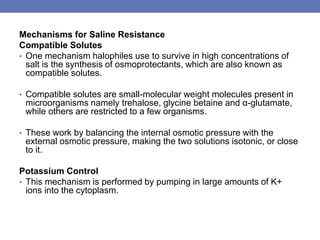 Mechanisms for Saline Resistance
Compatible Solutes
• One mechanism halophiles use to survive in high concentrations of
salt is the synthesis of osmoprotectants, which are also known as
compatible solutes.
• Compatible solutes are small-molecular weight molecules present in
microorganisms namely trehalose, glycine betaine and α-glutamate,
while others are restricted to a few organisms.
• These work by balancing the internal osmotic pressure with the
external osmotic pressure, making the two solutions isotonic, or close
to it.
Potassium Control
• This mechanism is performed by pumping in large amounts of K+
ions into the cytoplasm.
 