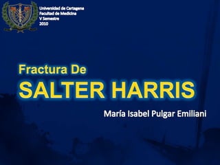 Universidad de Cartagena Facultad de Medicina  V Semestre  2010 Fractura De SALTER HARRIS María Isabel Pulgar Emiliani 