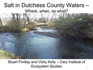 1
Salt in Dutchess County Waters –
Where, when, so what?
Stuart Findlay and Vicky Kelly – Cary Institute of
Ecosystem Studies
 