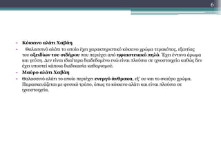 • Κόκκινο αλάτι Χαβάη
• Θαλασσινό αλάτι το οποίο έχει χαρακτηριστικό κόκκινο χρώμα τερακότας, εξαιτίας
του οξειδίων του σιδήρου που περιέχει από ηφαιστειακό πηλό. Έχει έντονο άρωμα
και γεύση. Δεν είναι ιδιαίτερα διαδεδομένο ενώ είναι πλούσιο σε ιχνοστοιχεία καθώς δεν
έχει υποστεί κάποια διαδικασία καθαρισμού.
• Μαύρο αλάτι Χαβάη
• Θαλασσινό αλάτι το οποίο περιέχει ενεργό άνθρακα, εξ’ ου και το σκούρο χρώμα.
Παρασκευάζεται με φυσικό τρόπο, όπως το κόκκινο αλάτι και είναι πλούσιο σε
ιχνοστοιχεία.
6
 