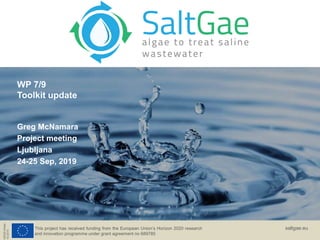 This project has received funding from the European Union’s Horizon 2020 research
and innovation programme under grant agreement no 689785
H2020-Water-
1b-2015
saltgae.eu
WP 7/9
Toolkit update
Greg McNamara
Project meeting
Ljubljana
24-25 Sep, 2019
 