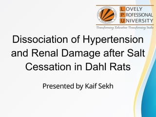 Dissociation of Hypertension and Renal Damage After Salt Cessation in ...